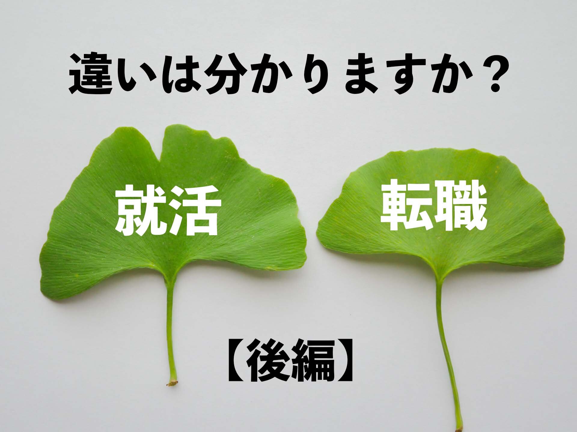 就職活動と転職活動の違いを理解しよう【後編】