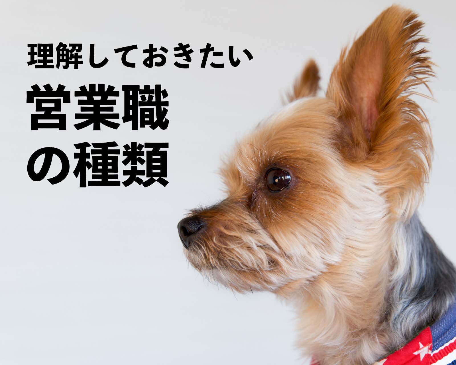 転職活動を始める前に理解しておきたい